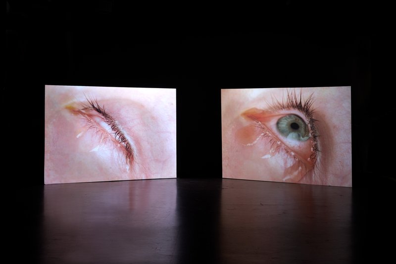 Photographic Hanging