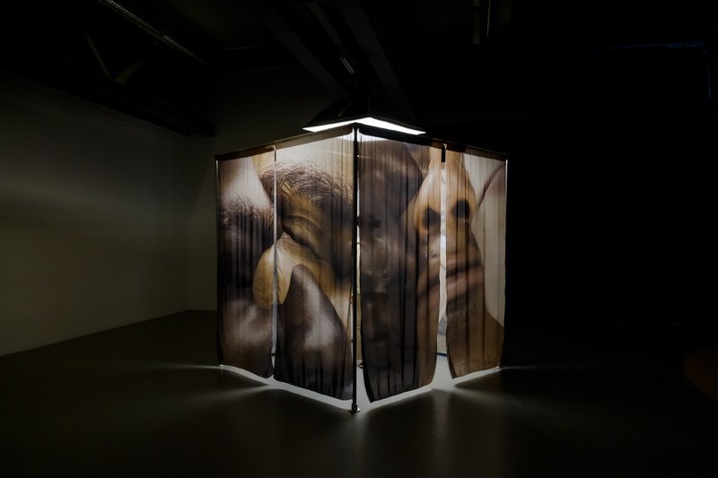 Robin Bervini – Until I Stop Trying to Get Out of My Skin